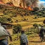 Incendio forestal avanza en Linares, Nariño: vereda El Guaitara y otras zonas rurales en alerta